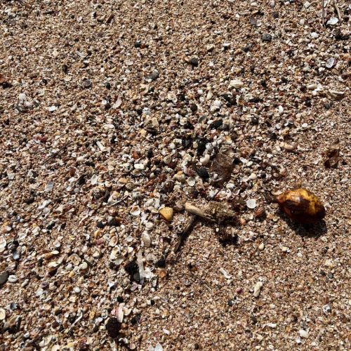 2283c7dd-68a1-4a50-b396-cbfea68c5fb3