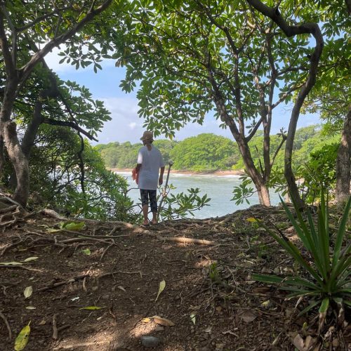 3cd5cbf6-3b85-423b-b51c-c65fe4896c13