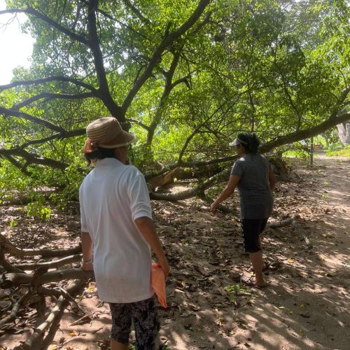 7ee611ed-b880-4d9a-b129-8ed121723368