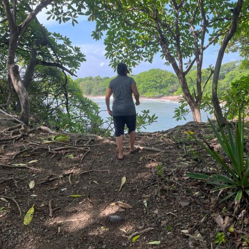 b49144c0-7059-4d66-a650-b88f8fb9b1ea