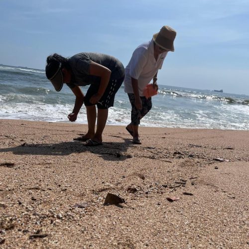 f106b800-928c-46bc-b94c-be33e715dc5a